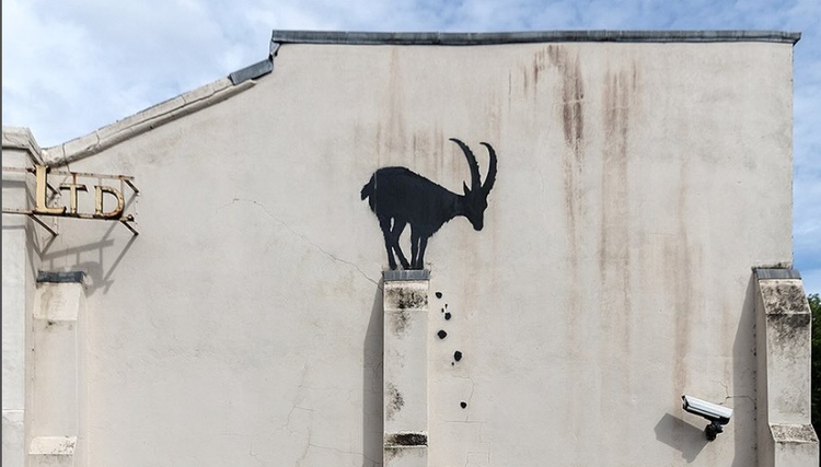 Neue Banksy Werke - Affen, Elefanten, Steinbock & Wolf